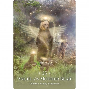 Angels of Nature Oracle kortos Hay House